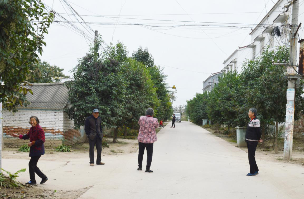 东夏亭镇人大助力精准扶贫带动美丽乡村建设-西华县东