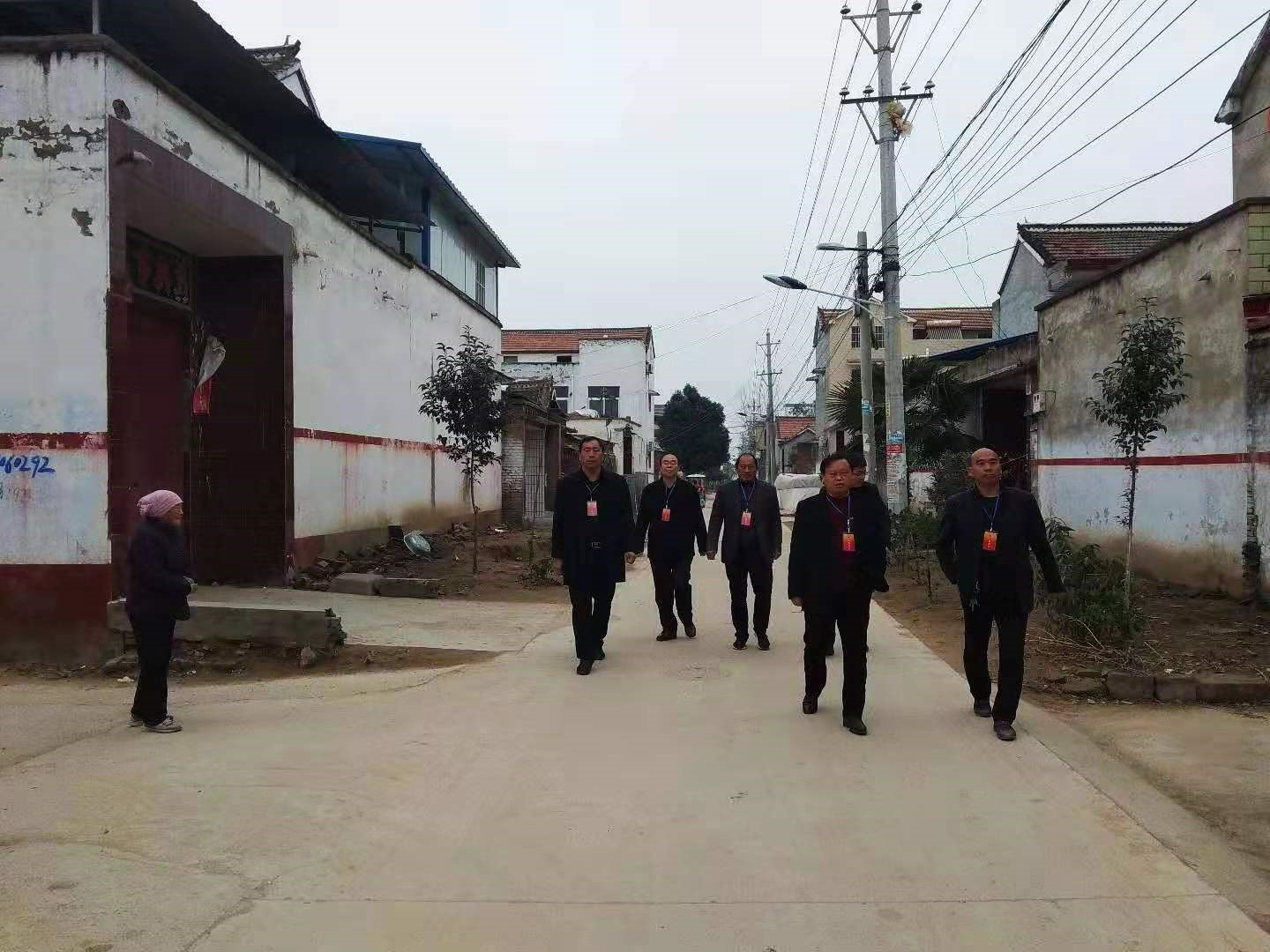 人大代表视察生态文明乡村建设-淮阳区大连乡人大代表网上联络站
