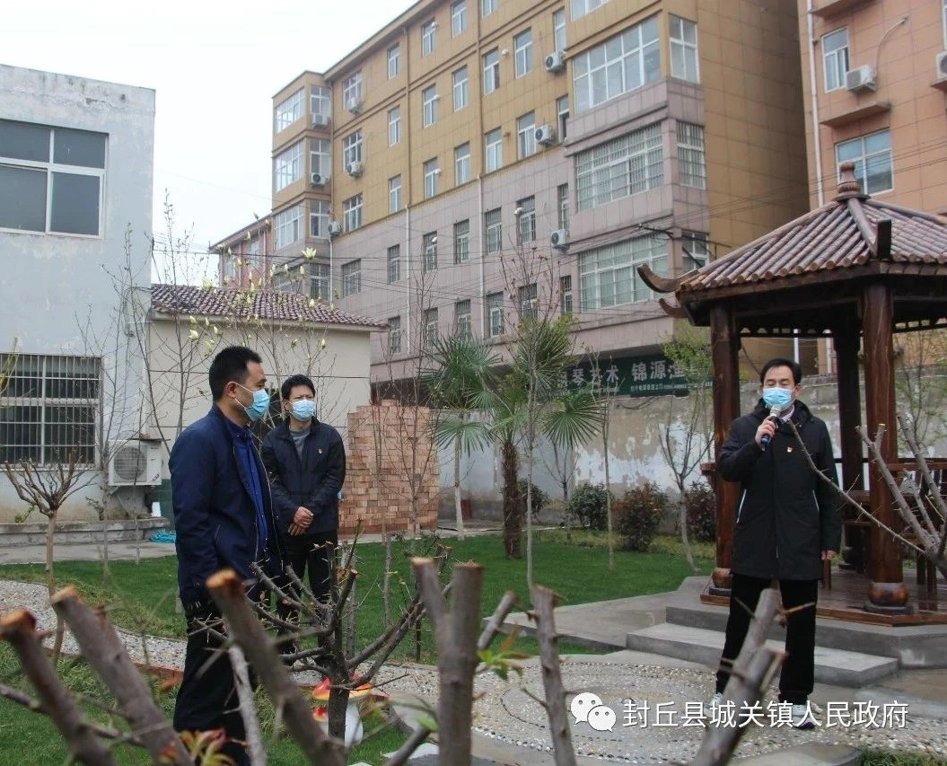 全域绿化,现场观摩-封丘县封丘县城关镇人大代表网上
