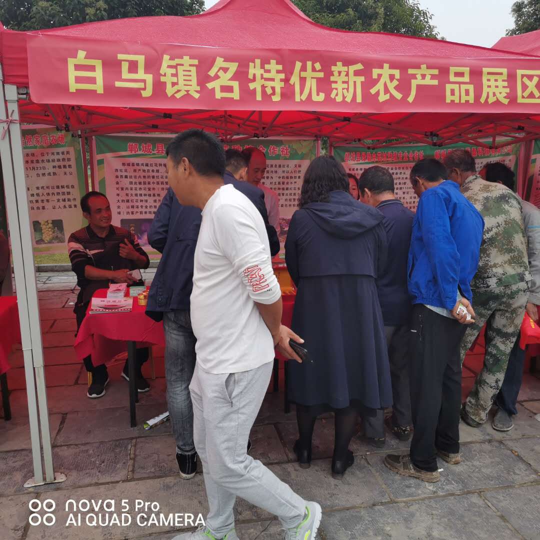 郸城县白马镇人大代表团组织参加郸城县第三届中国农民丰收节庆祝活动