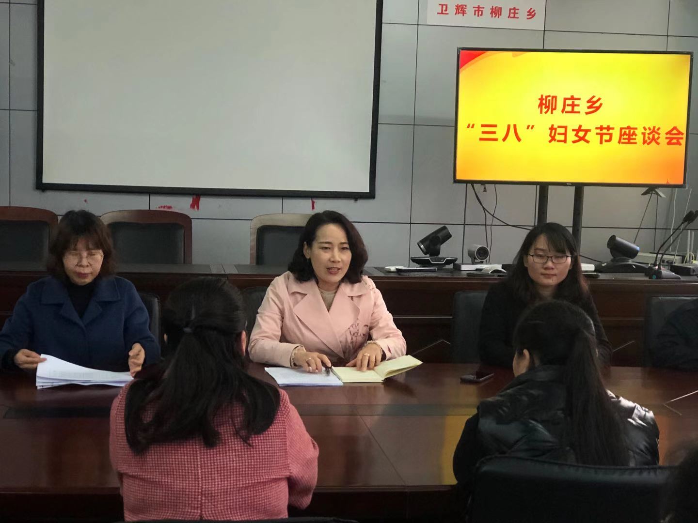 柳庄乡召开"三八"妇女节座谈会-卫辉市柳庄乡人大代表