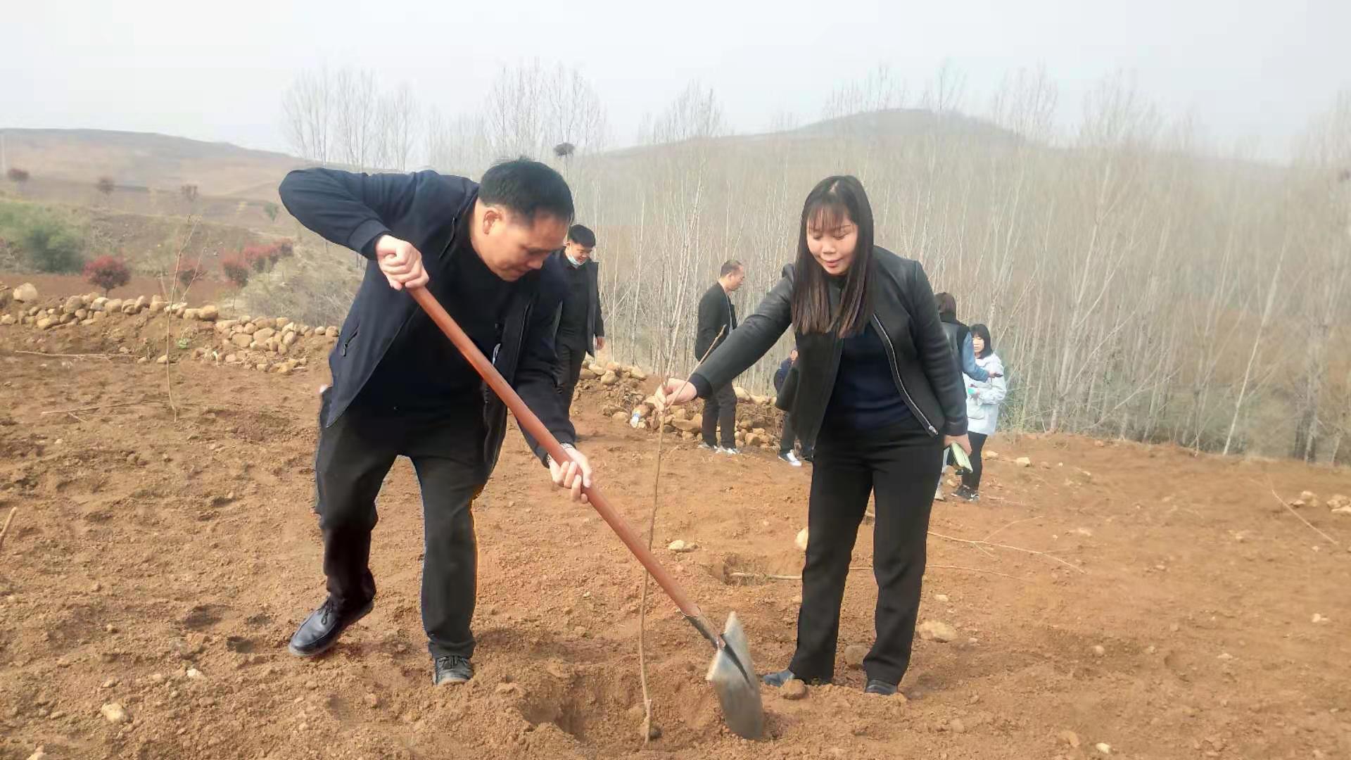 张良镇人大代表积极参加义务植树扮靓绿水青山-鲁山县