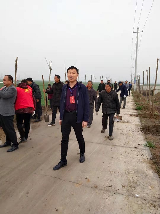 西华县奉母镇:植树造林 美化家园