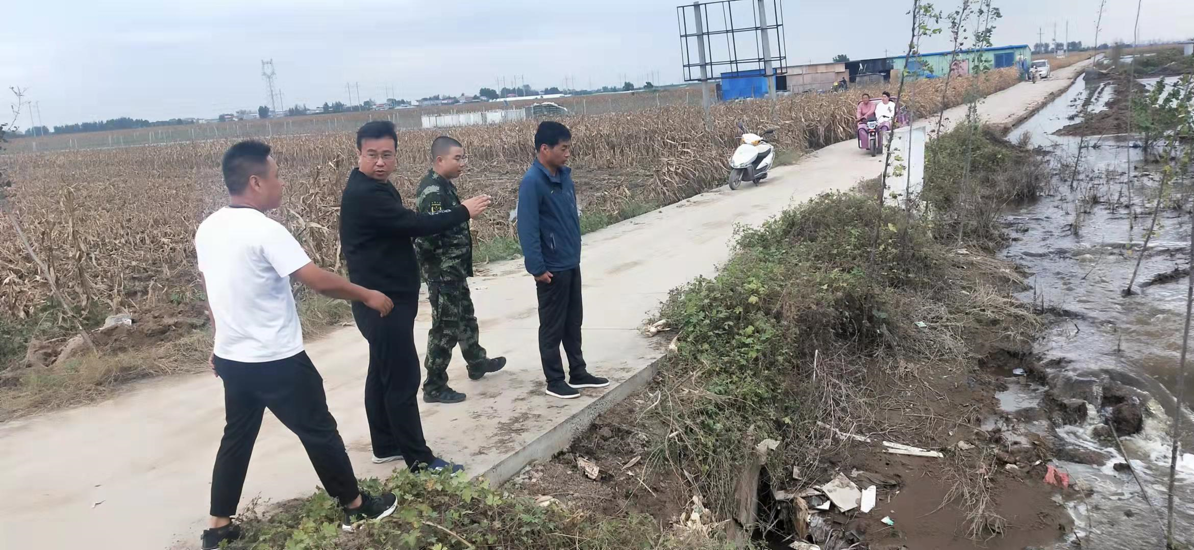 镇人大代表,城关镇党委副书记张红波,副镇长万小杰到后李村查看农田