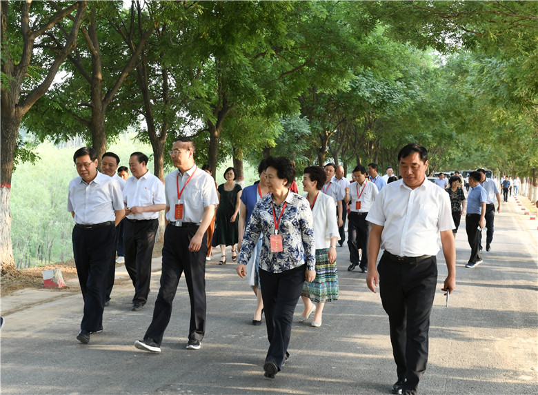 图片5