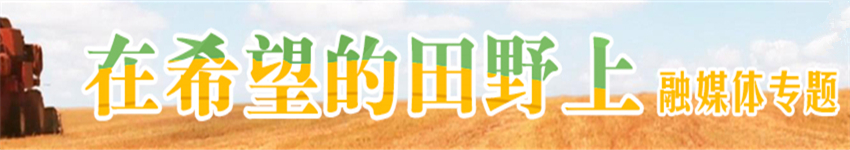 十三届全国人大三次会议融媒体专题