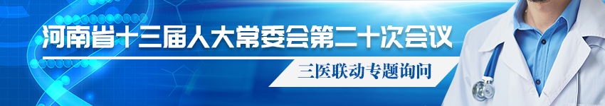 河南省十三届人大常委会第二十次会议