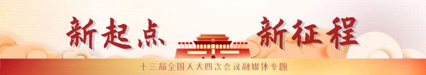 十三届全国人大四次会议专题