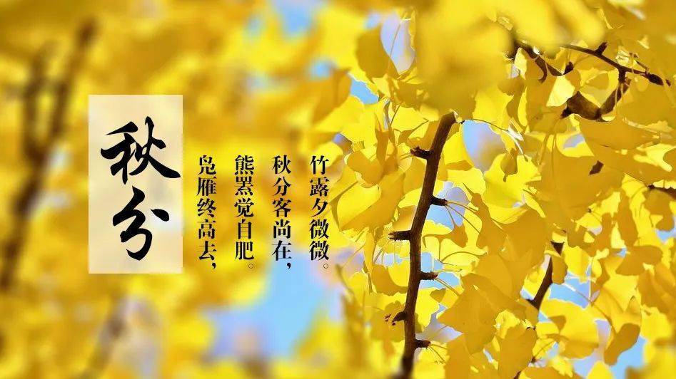 节气-秋分