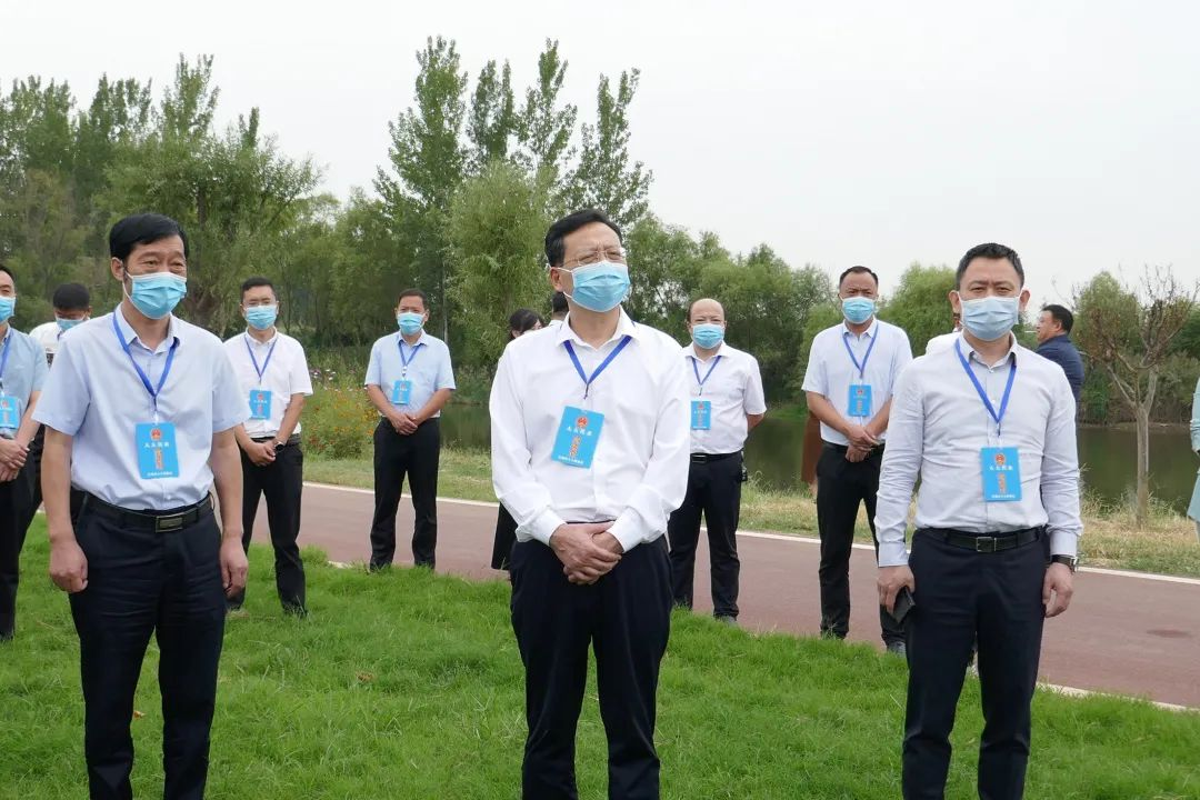 图片11