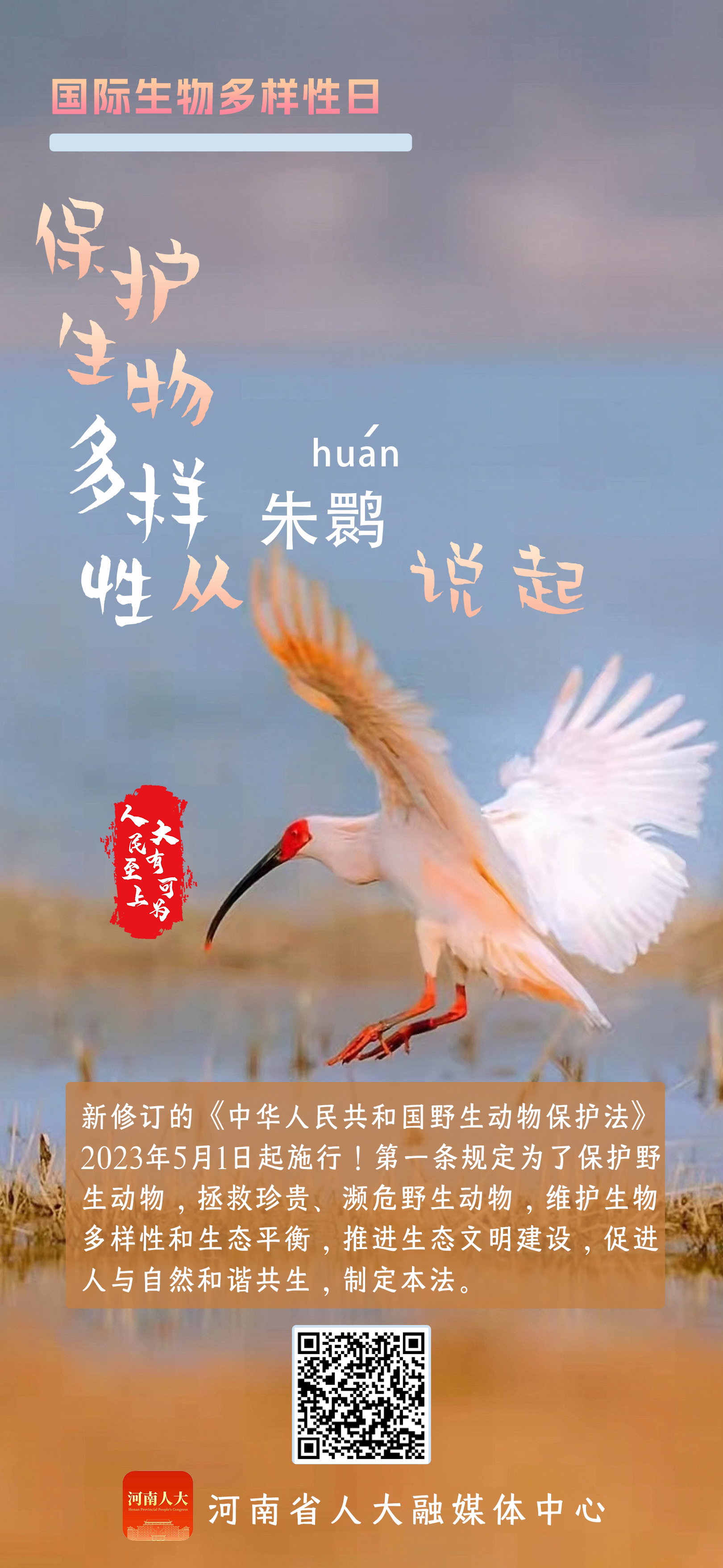 89d32d8362b4ba9110d90fb032c76b5