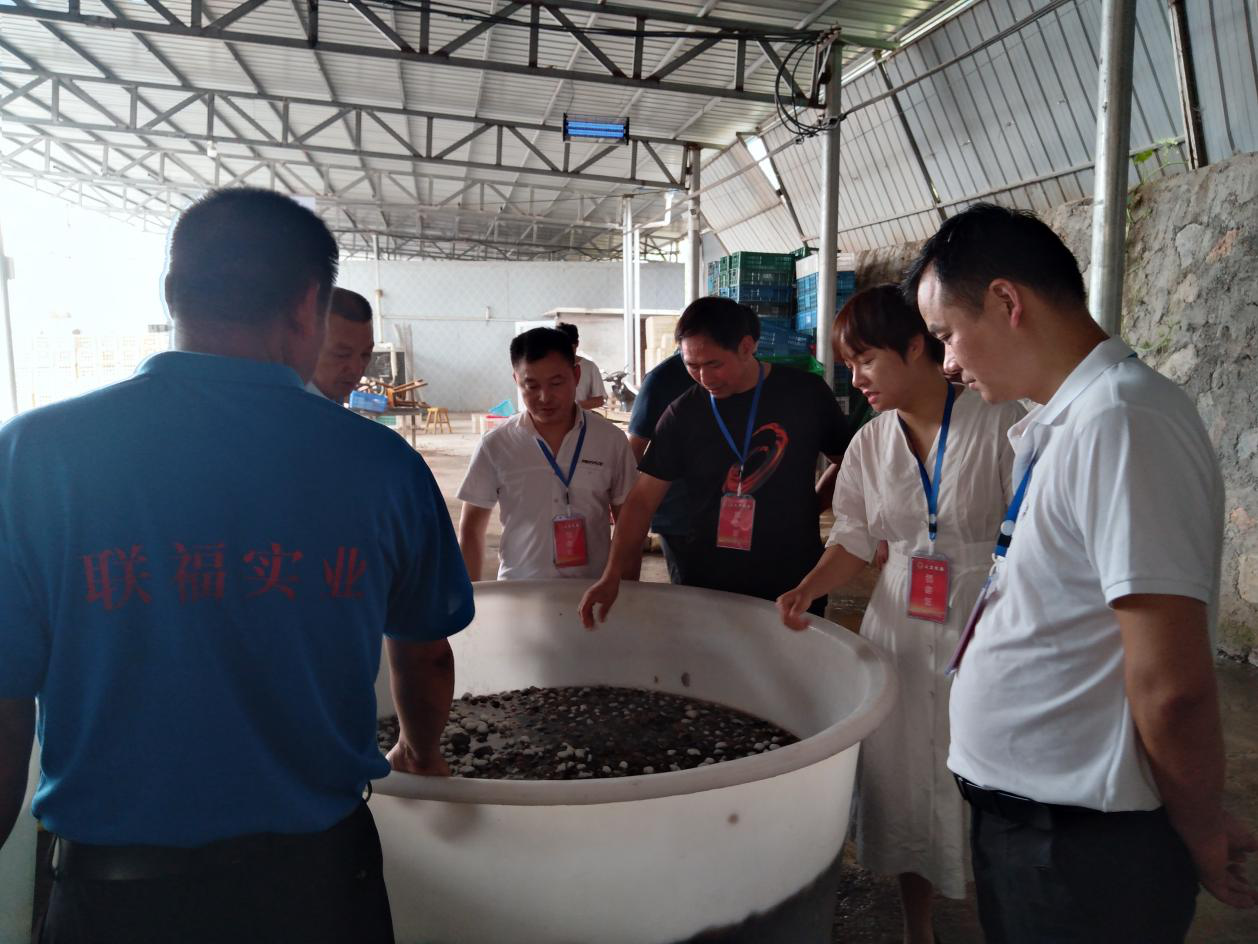图片28