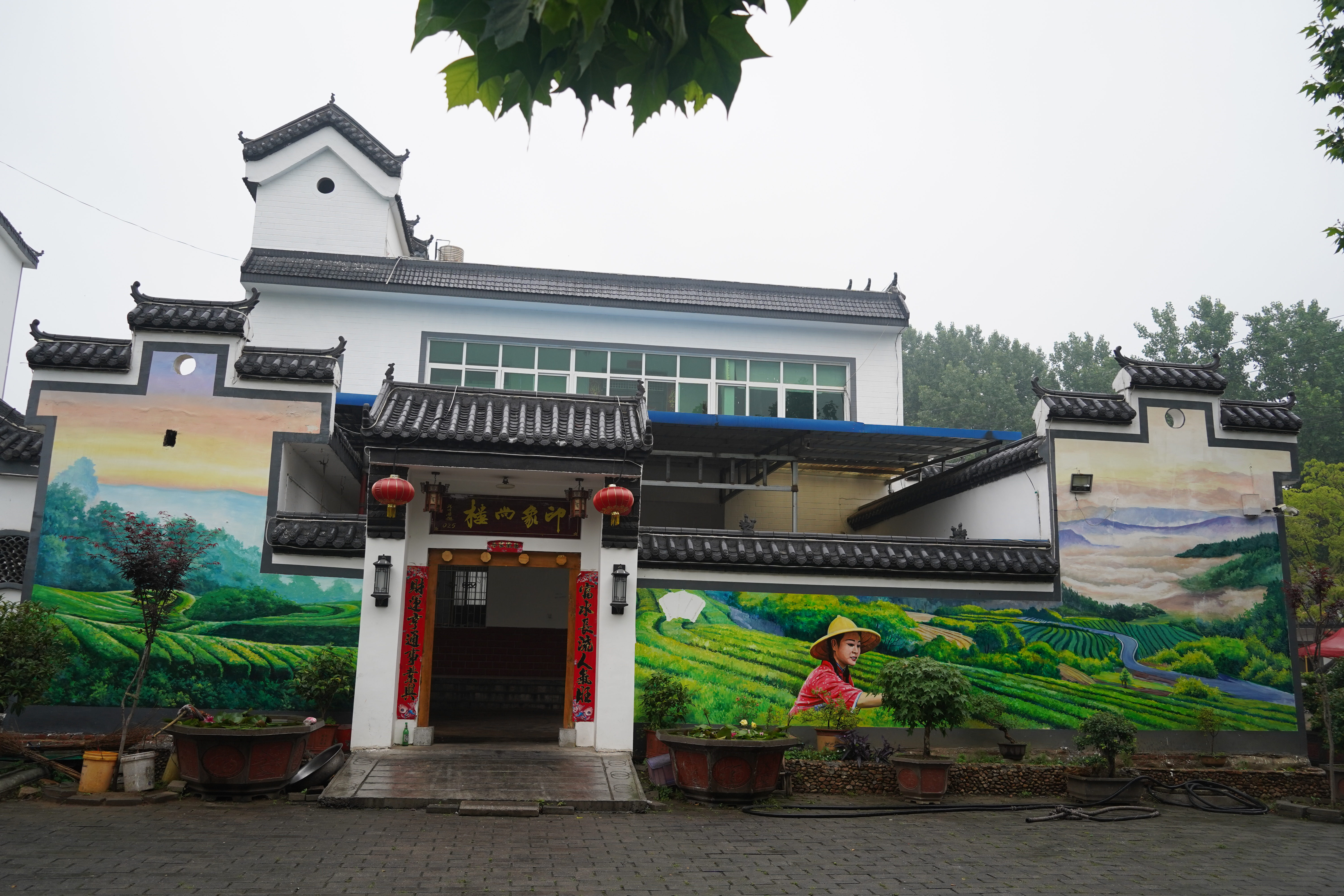 图片31
