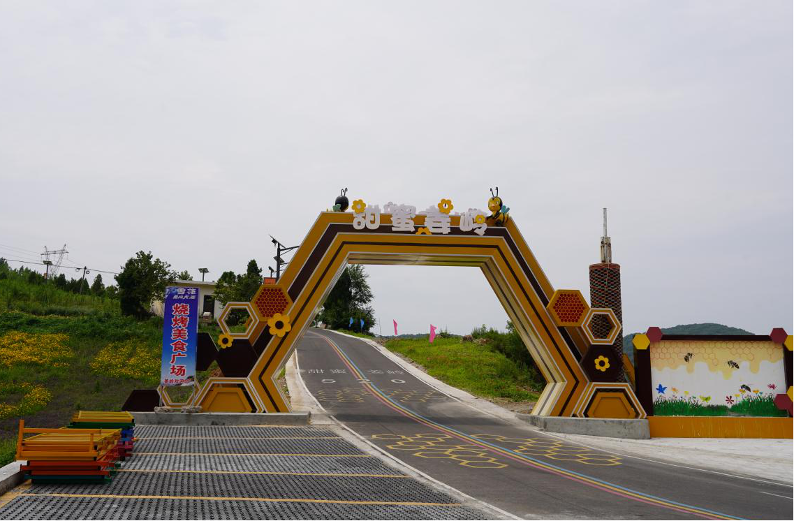 图片6