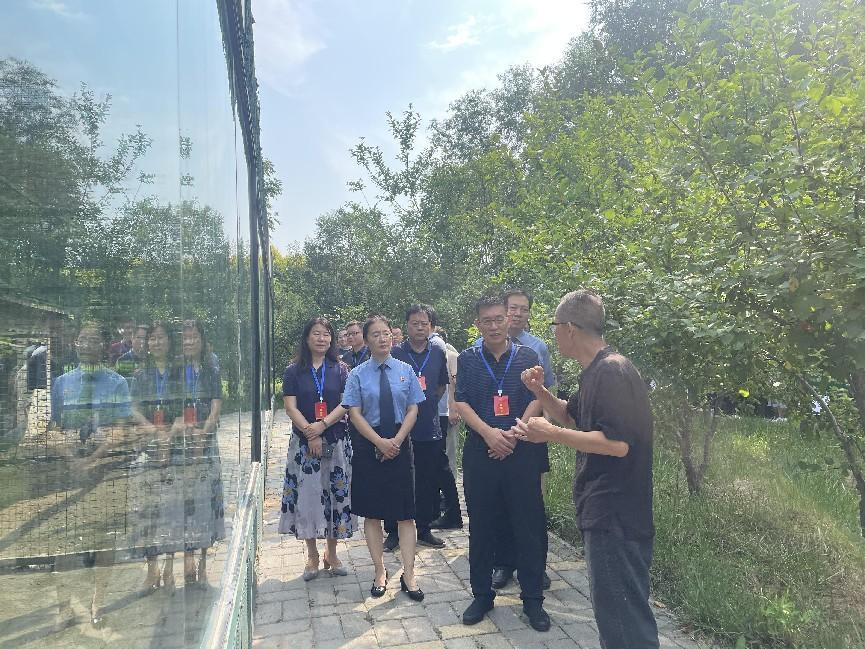 图片6