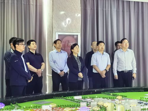 网站用