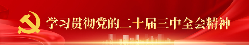 学习贯彻党的二十届三中全会精神