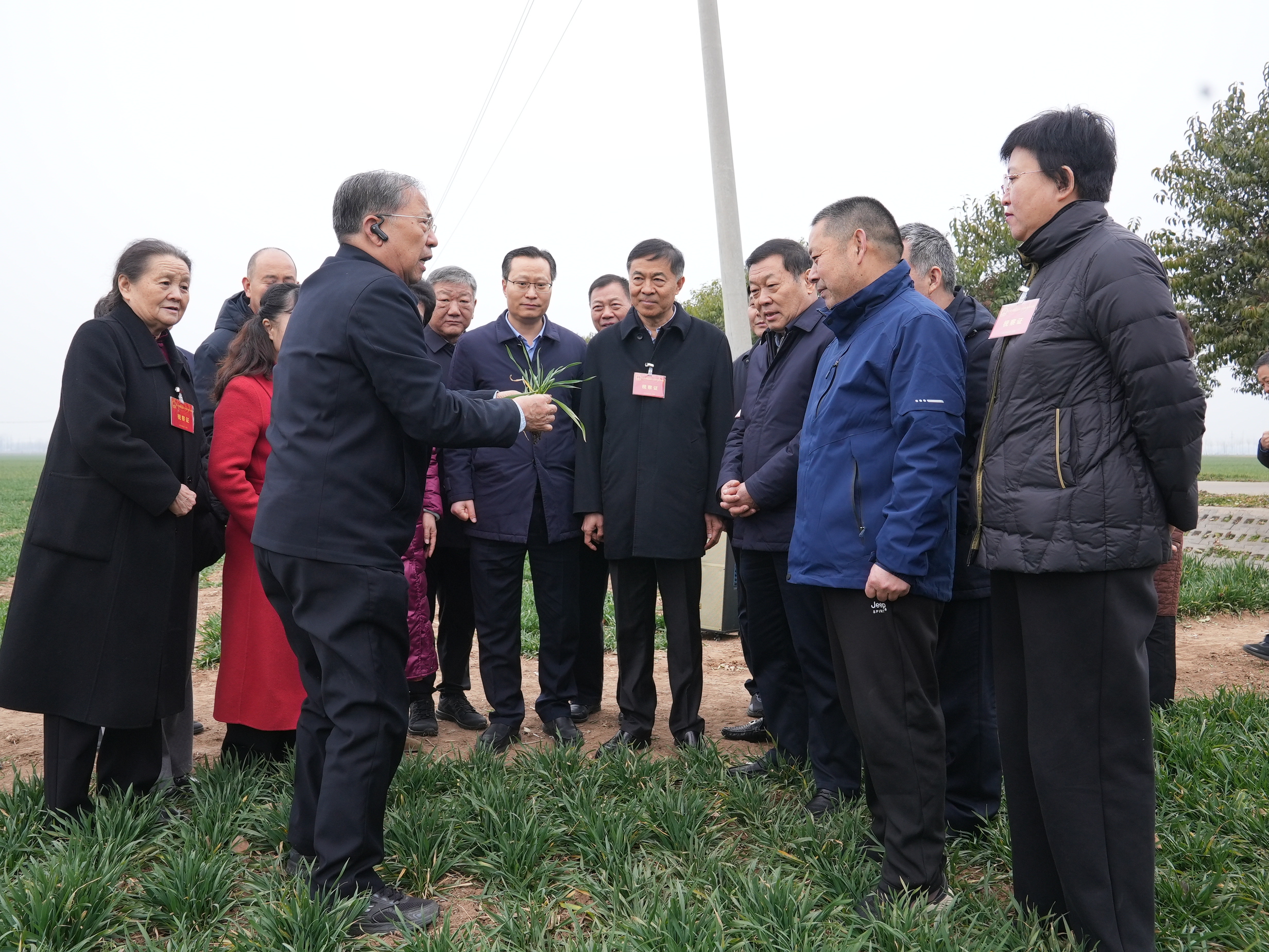 微信图片_20250221131456