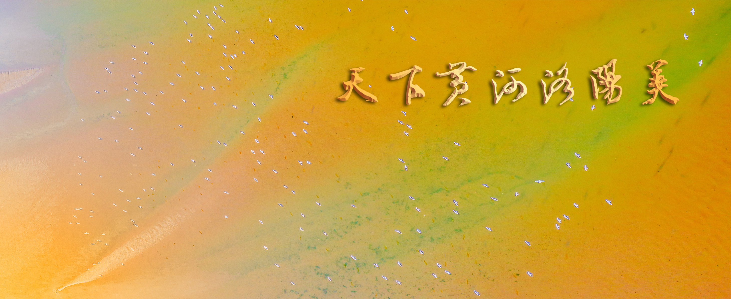 5-张良 多彩湿地（组1）