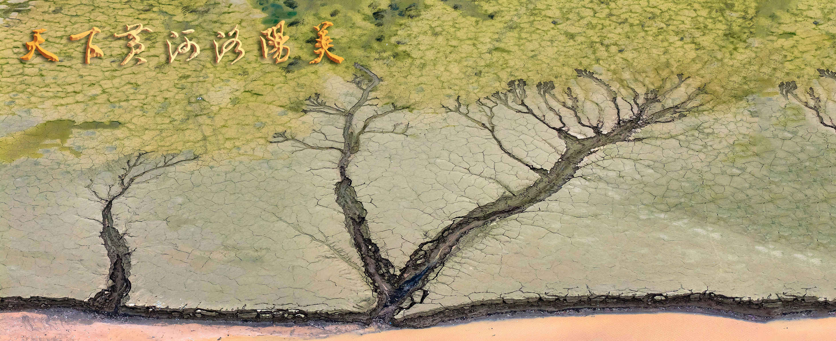 2-大地之树（西霞院库区）+张继宏13838897238