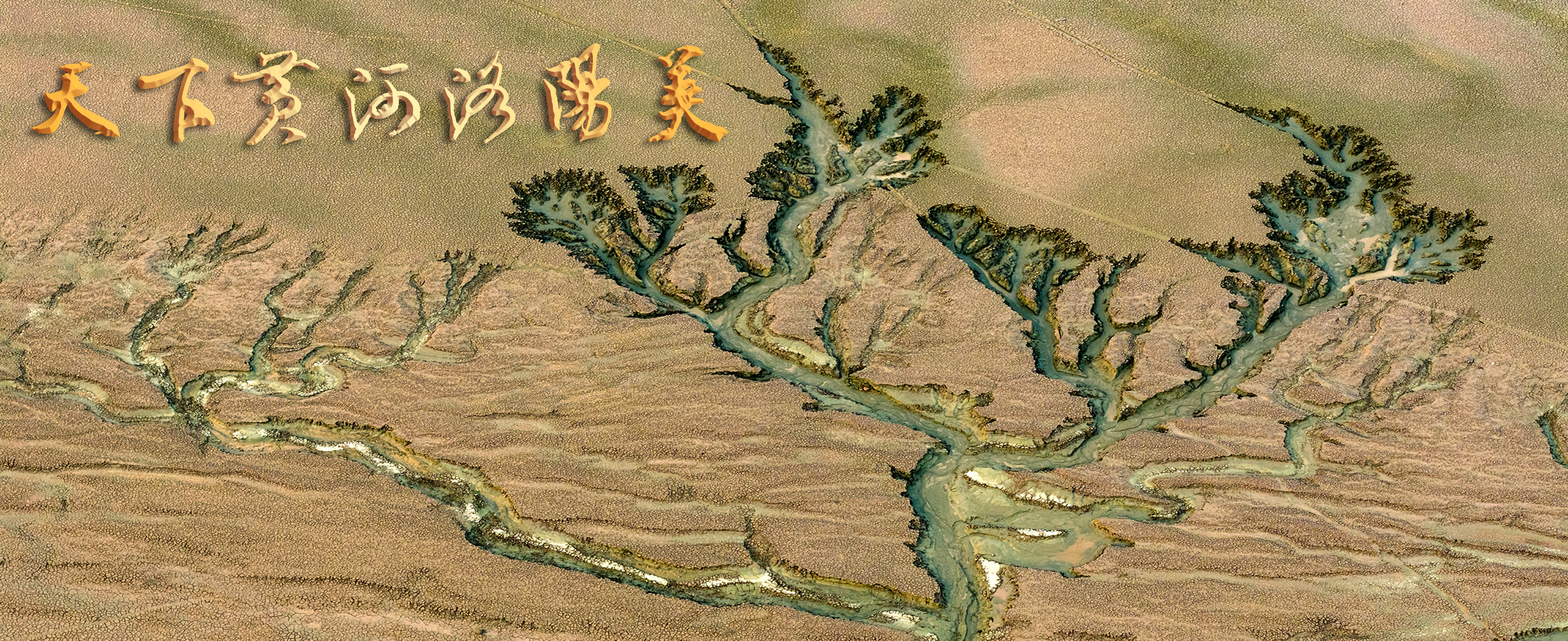 3-大地之树+ （小浪底库区上游柳树滩）张继宏13838897238