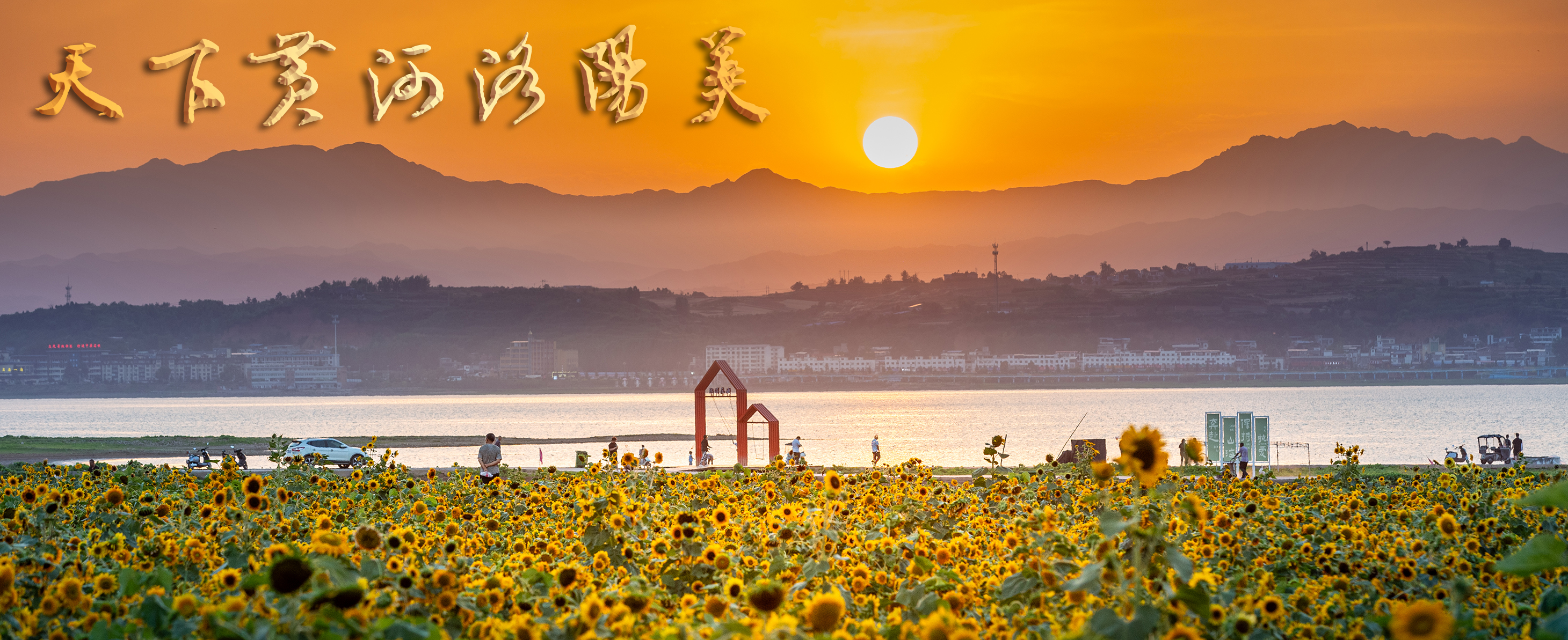 5-《洱海葵花向阳开》 作者：周彦喜 拍摄地点：洛阳市陆浑镇牛寨 