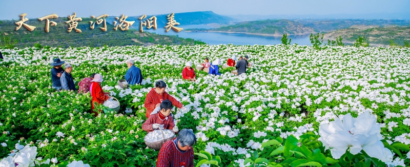 海报-5（候桂芳）