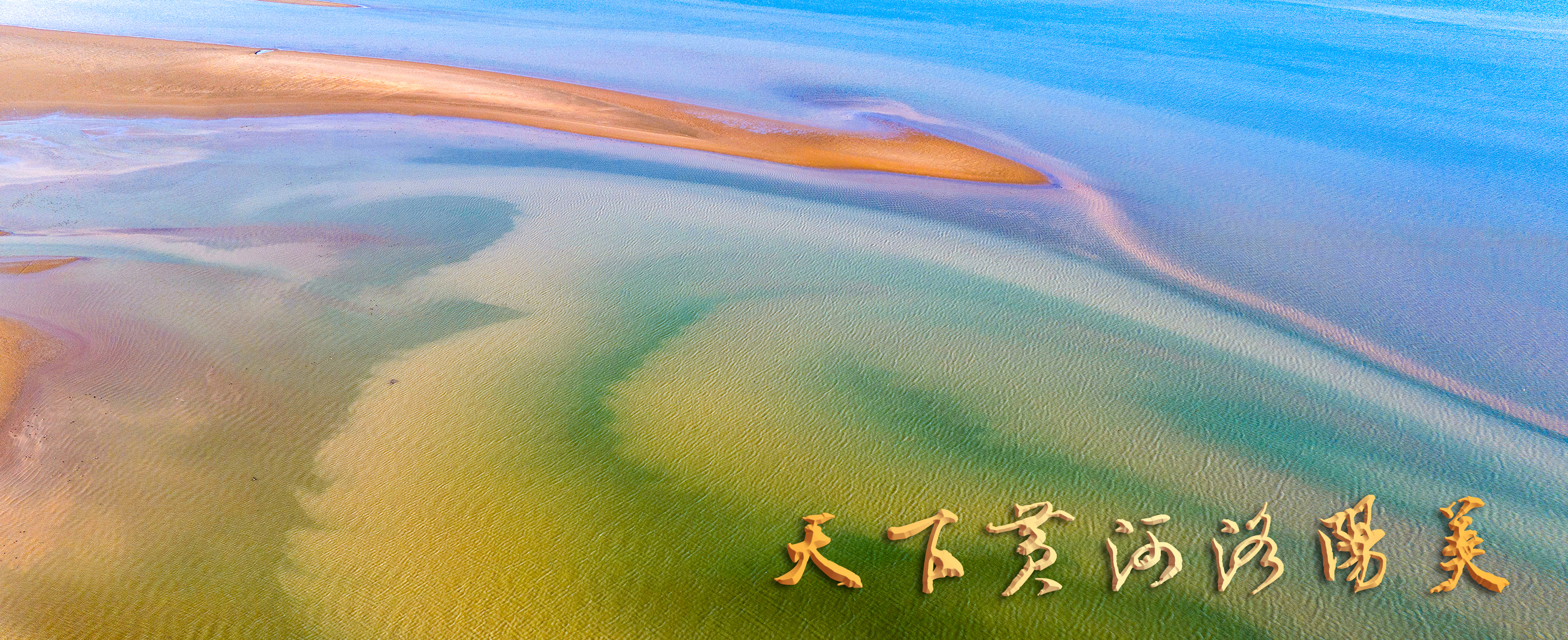 7-《彩韵滩涂 黄河牡丹》 作者：张继宏 拍摄地点：洛阳市孟津区