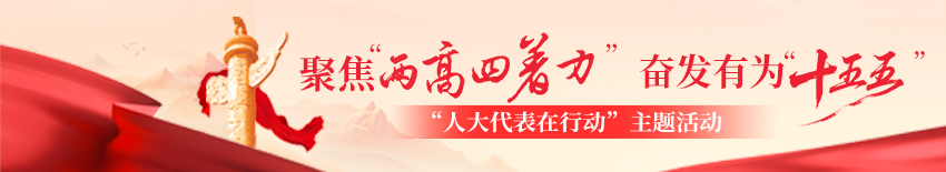 聚焦“两高四着力” 奋发有为“十五五” “人大代表在行动”专题