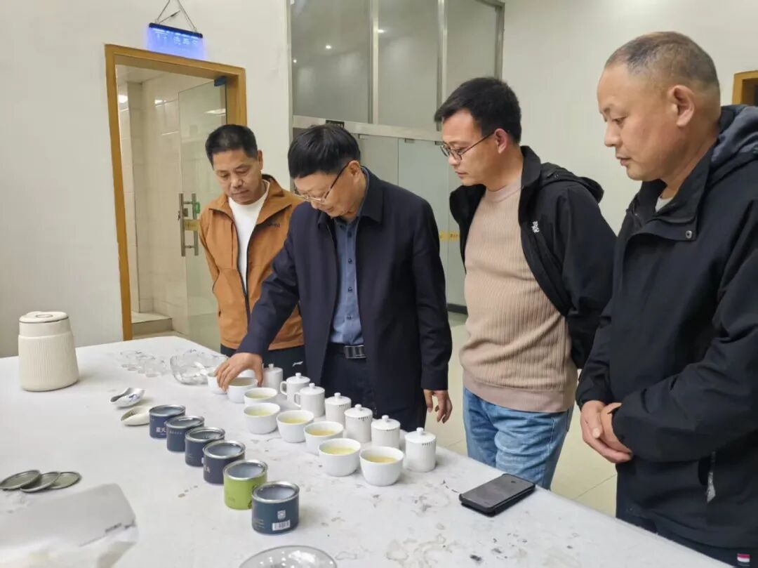 人大代表在行动 | 郭桂义深入茶企开展春茶生产技术指导