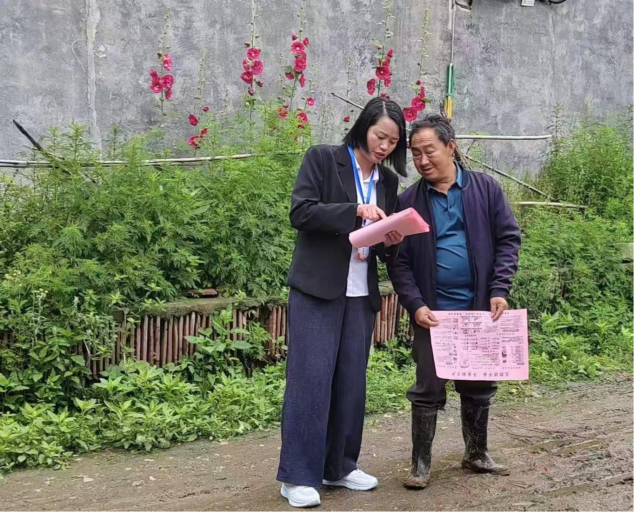 图片1