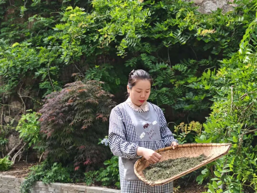 人大代表在行动│李敏:深山守好茶 履职助振兴
