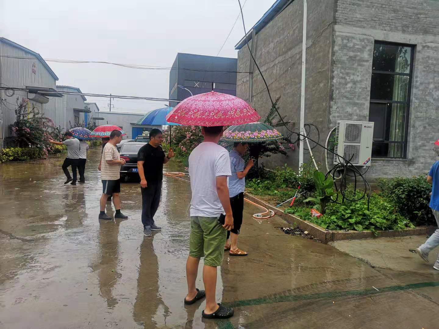 微信图片_201908101115143.jpg