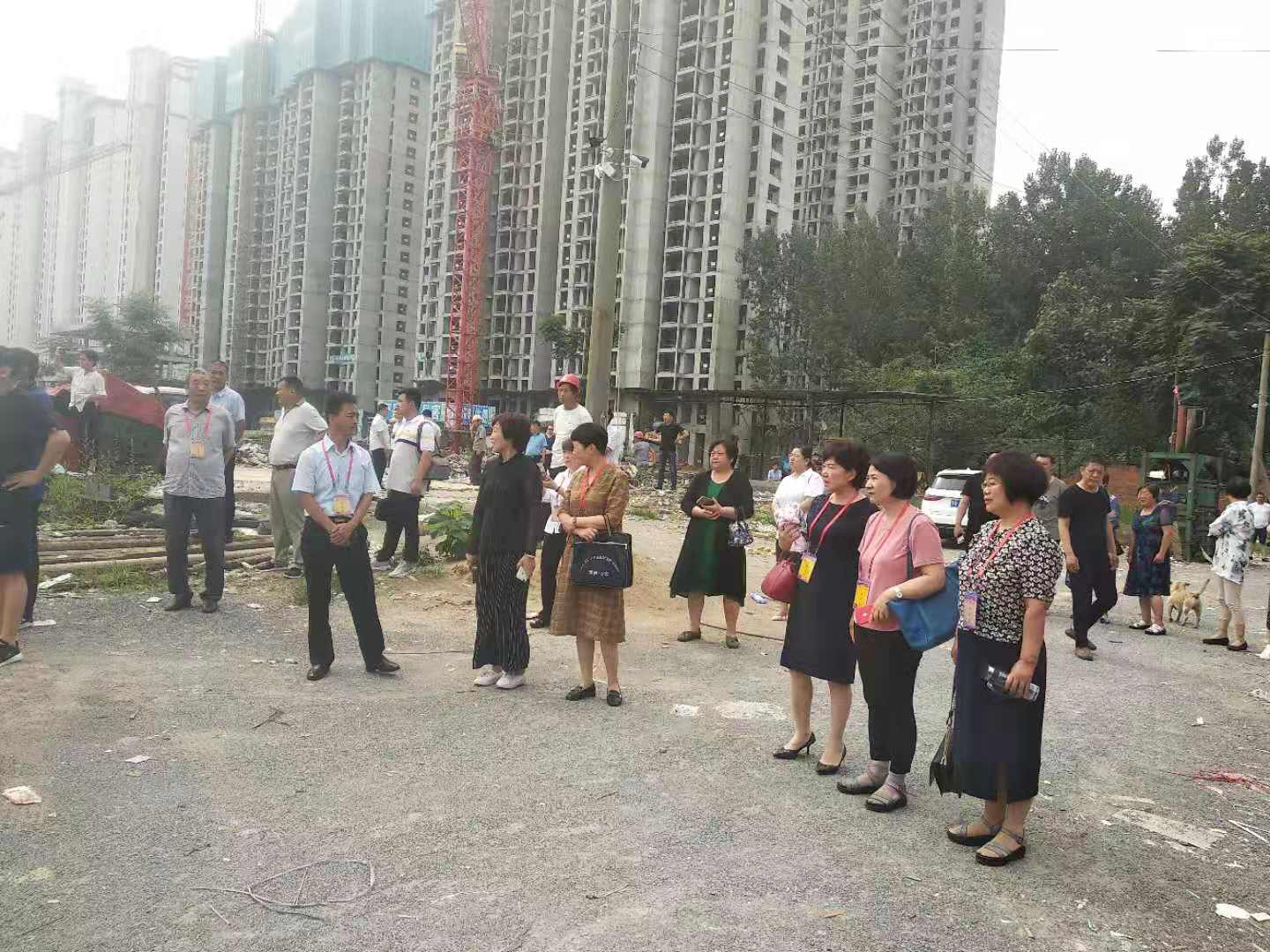 微信图片_201909200953585.jpg