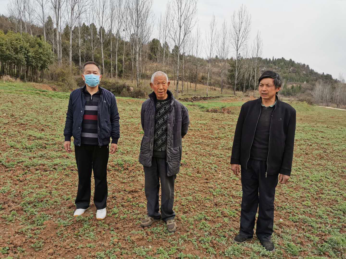 微信图片_200202140558444.jpg