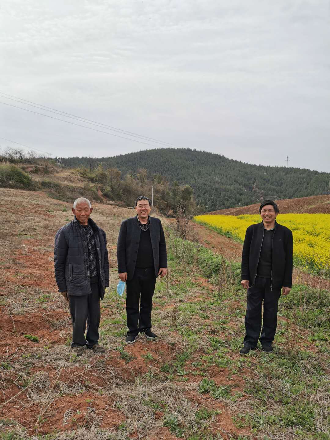 微信图片_200202140633251.jpg