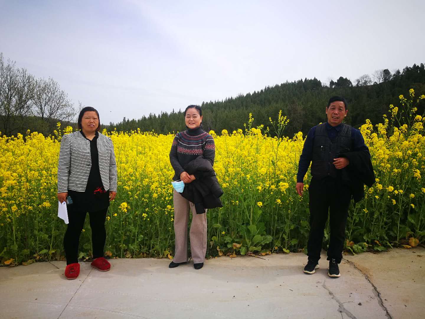 微信图片_200202140558446.jpg