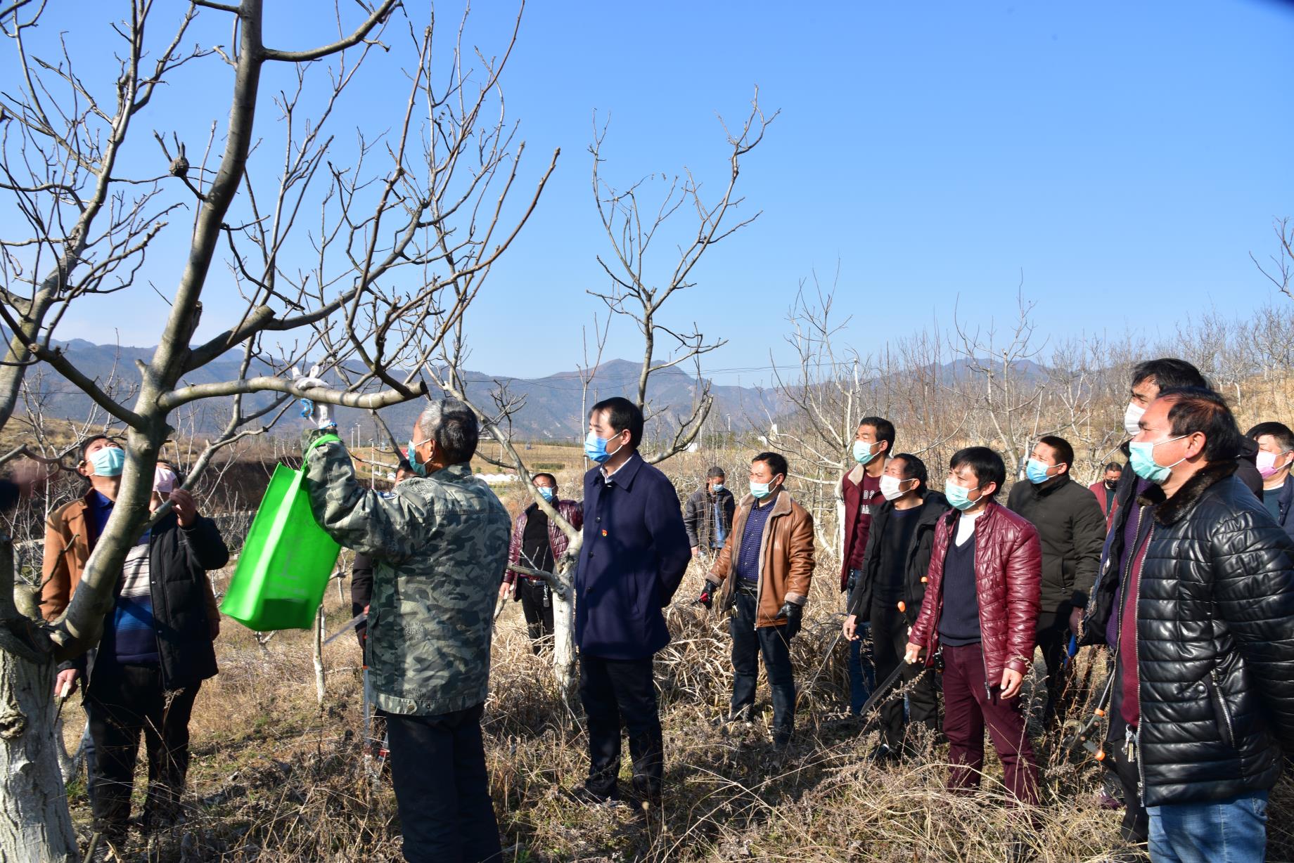 图4：樊涛（中）带领技术人员为贫困户传授林果剪枝技术.jpg