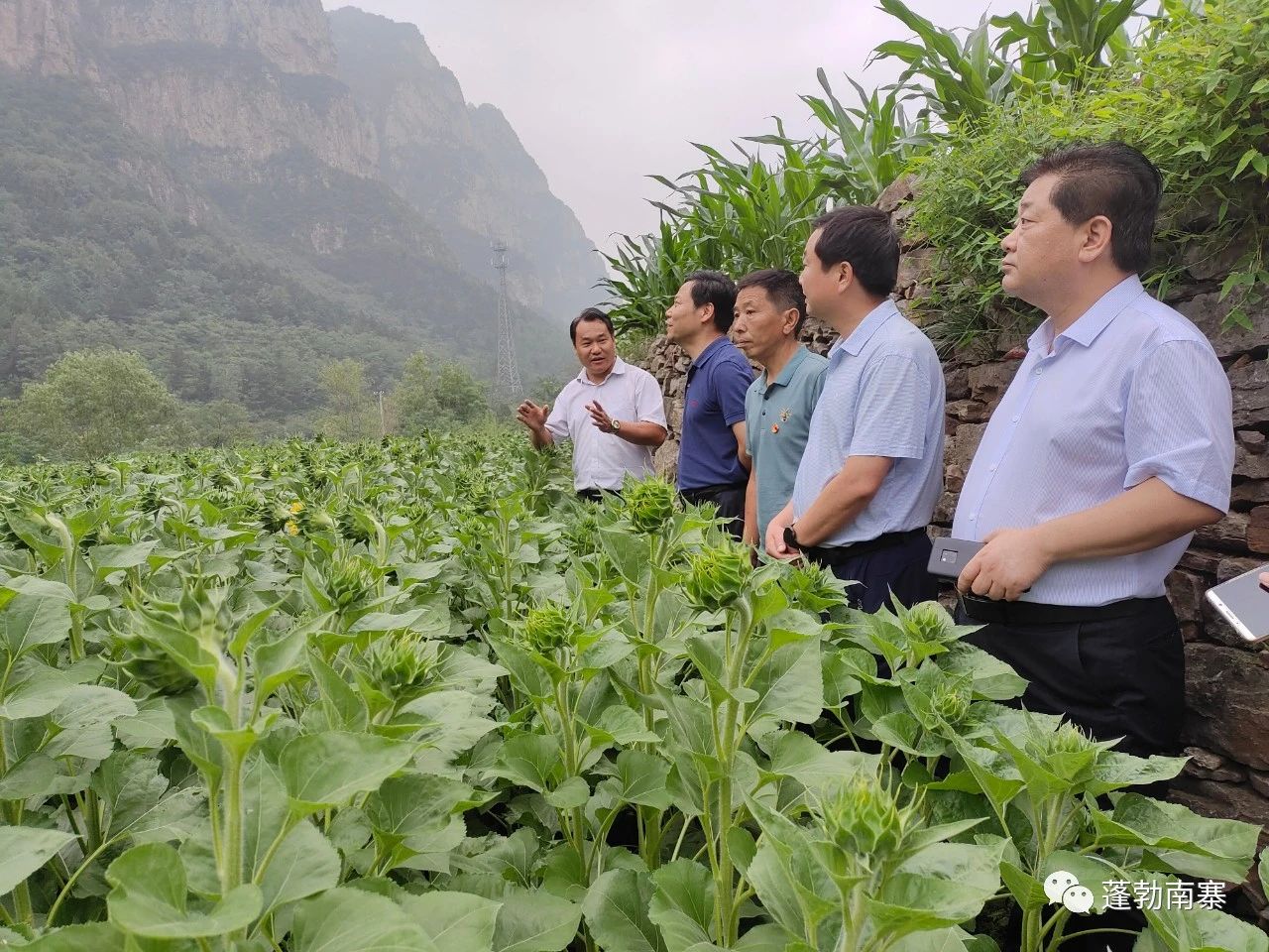 2020.6.30文化旅游厅李延庆6.jpg