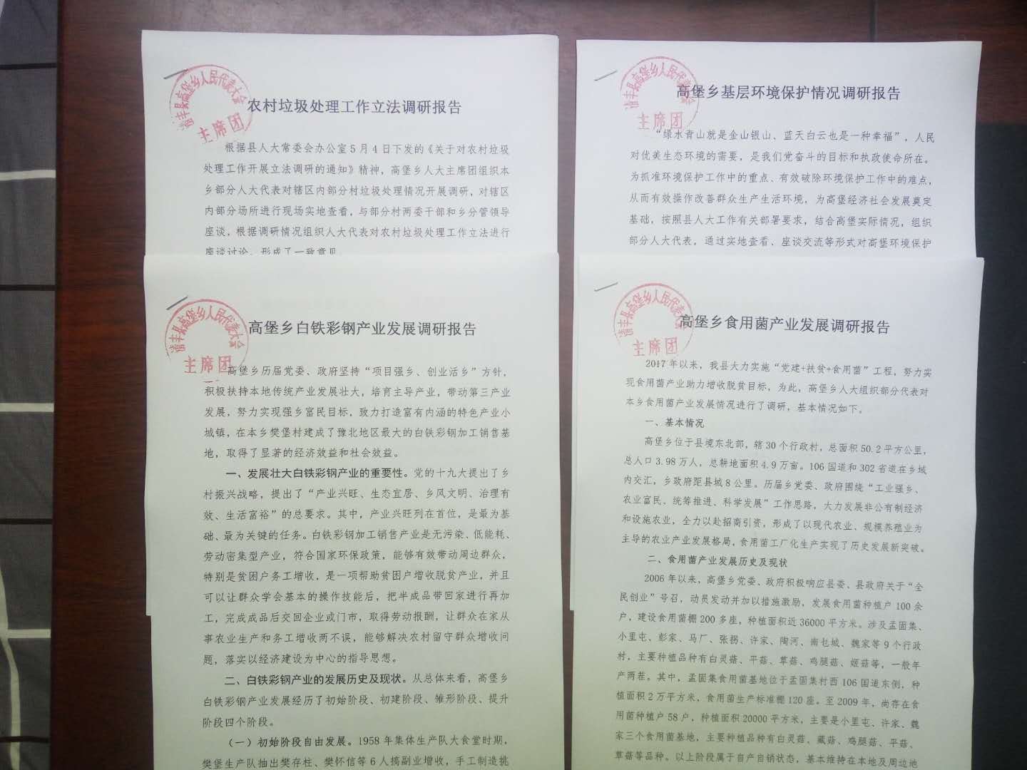 人大代表积极调查研究撰写调研报告.jpg