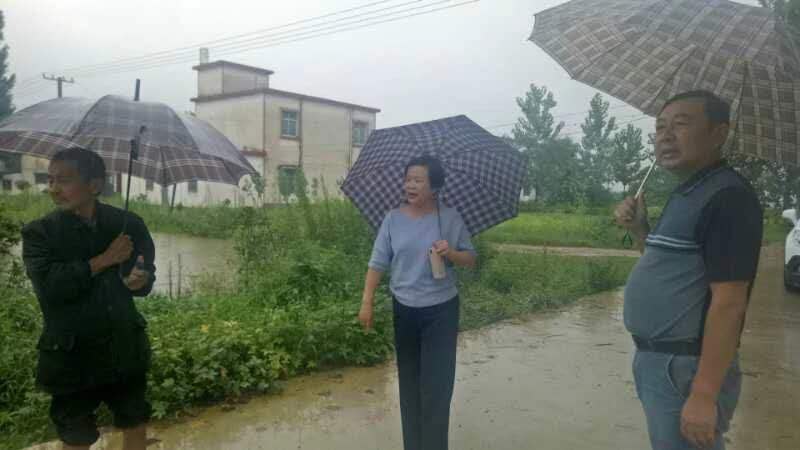 7741938360207079 图片99.png