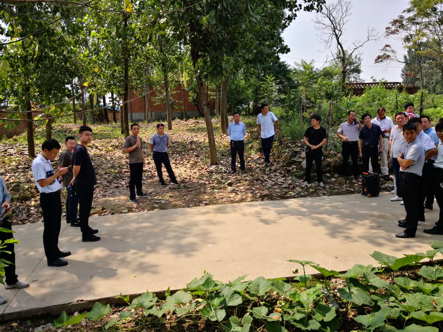 图片4.jpg