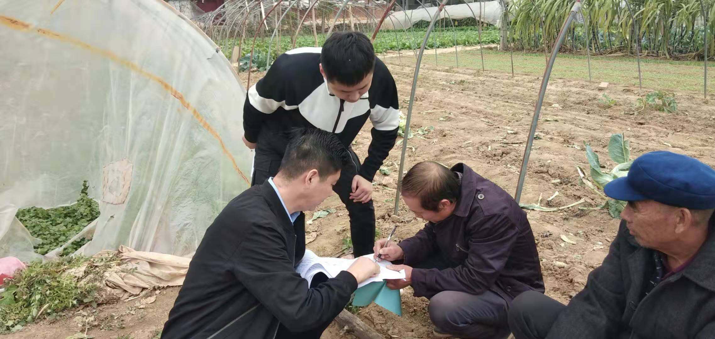 西李口2.jpg