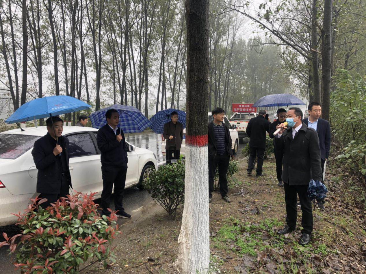图片8.jpg