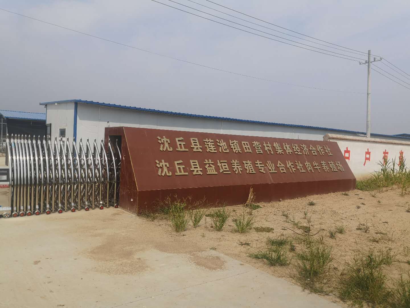 微信图片_20201029060434.jpg