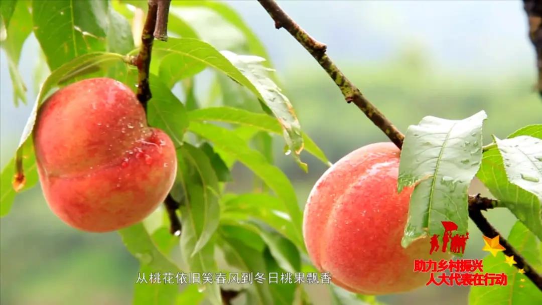 微信图片_20201118090225.jpg