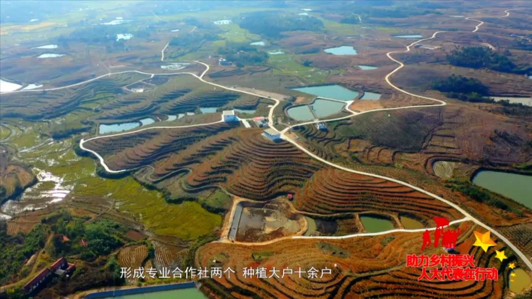 微信图片_20201118090214.jpg