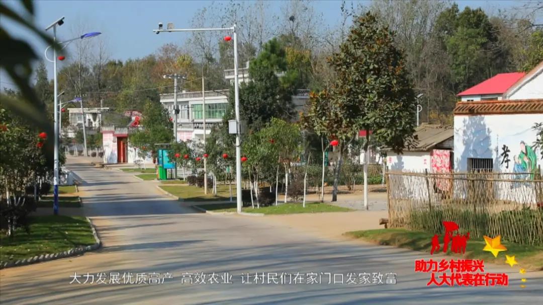 微信图片_20201118090203.jpg