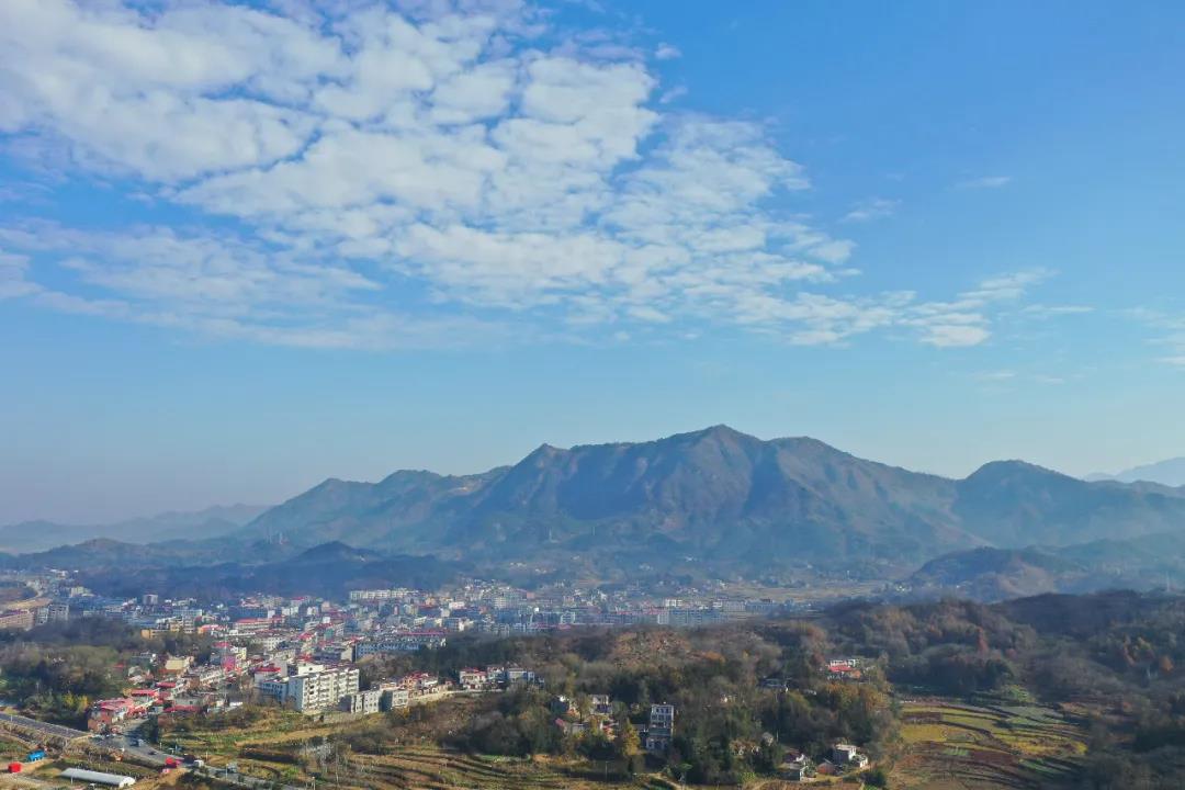 微信图片_20201125145022.jpg