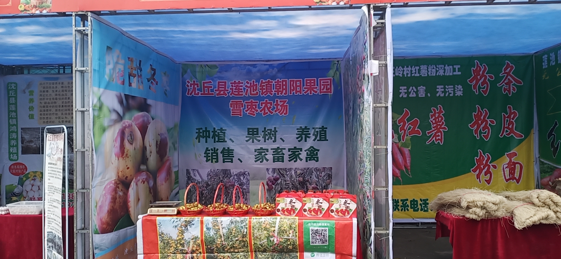 微信图片_20201126003346.jpg